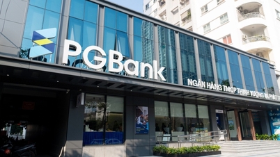 តើអ្នកណាជាម្ចាស់ PGBBank?
