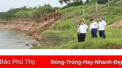 Phó Chủ tịch UBND tỉnh Nguyễn Thanh Hải kiểm tra, chỉ đạo khắc phục sạt lở bờ, vở sông Đà