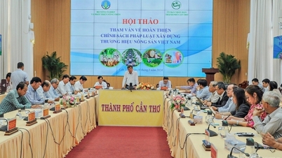 80% មិន​ទាន់​បាន​បង្កើត​យីហោ​នៅ​ឡើយ​ទេ។