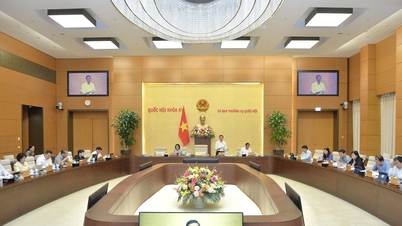 Ủy ban TVQH cho ý kiến về dự thảo Luật Phòng, chống mua bán người (sửa đổi).