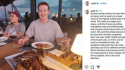 Tỉ phú Facebook ôm mộng nuôi bò bằng bia và hạt mắc ca