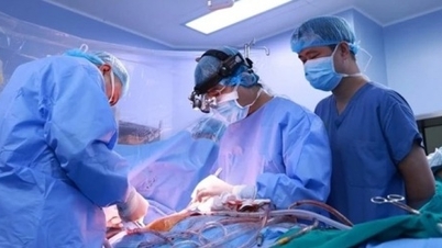 Hơn 90% nguồn tạng hiến ở nước ta từ người cho sống