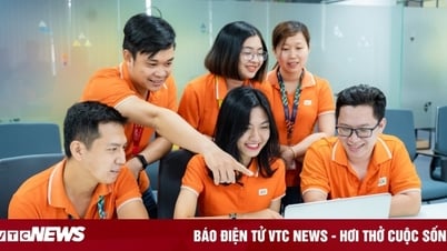 អស់រយៈពេល 11 ឆ្នាំជាប់ៗគ្នា FPT ត្រូវបានផ្តល់កិត្តិយសនៅក្នុងក្រុមហ៊ុនដែលបានចុះបញ្ជីល្អបំផុតទាំង 50 ។