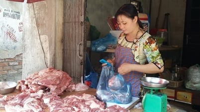 Vì sao Bộ Tài chính không nâng ngưỡng chịu thuế của hộ kinh doanh lên 250 triệu?