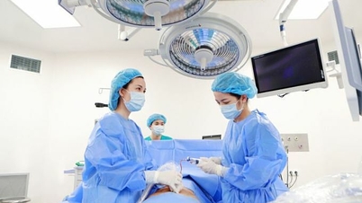 Phát hiện đột biến gene khiến thận thai nhi ngừng hoạt động