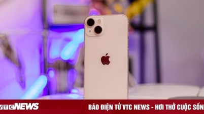 5 old iPhone models with good prices in March