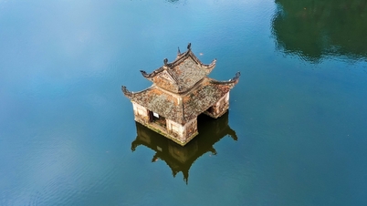 អំពី Xu Doai ស្តាប់រឿងរ៉ាវនៃវិជ្ជាជីវៈរាប់រយ