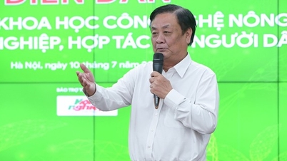 Doanh nghiệp chế biến nông sản ở Vĩnh Phúc than càng làm càng lỗ vì... "dao cắt khoai tây cũng phải nhập khẩu"