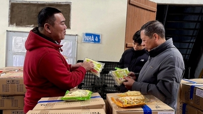 Hòa Bình xuất 20 tấn sản phẩm măng Kim Bôi sang Hà Lan