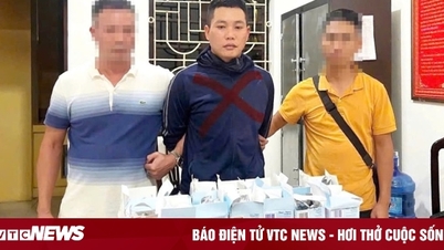 Triệt phá đường dây vận chuyển ma tuý 'ngụy trang' trong các hộp sữa từ châu Âu