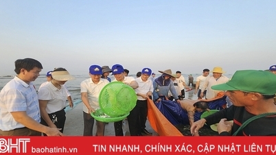 Các địa phương, doanh nghiệp du lịch nỗ lực “hút khách” về Hà Tĩnh