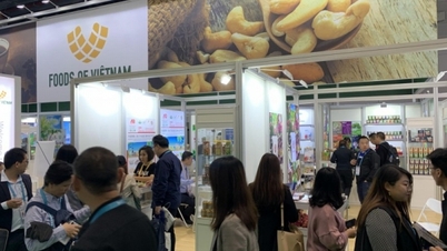 Việt Nam - Quốc gia danh dự tại Hội chợ quốc tế doanh nghiệp vừa và nhỏ Trung Quốc 2023