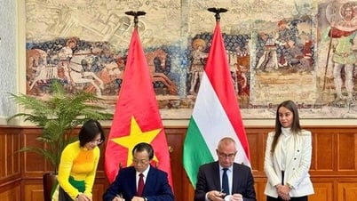 Nhiều cơ hội nhận học bổng đại học và sau đại học tại Hungary
