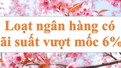 ស៊េរីនៃធនាគារបានលើសពីសញ្ញា 6%