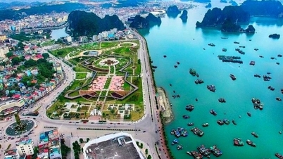 Nhà đầu tư còn tư tưởng ‘phòng thủ’, HoREA đề nghị doanh nghiệp giảm kỳ vọng lợi nhuận, sắp kiểm tra loạt dự án