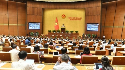 Thông cáo báo chí số 20 Kỳ họp thứ 5, Quốc hội khóa XV