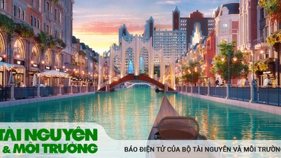 បណ្តុំស្ពានតែមួយគត់នៅ MerryLand Quy Nhon