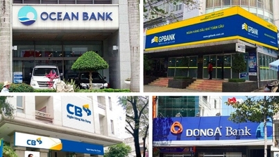 មិនត្រឹមតែ SCB ប៉ុណ្ណោះទេ ធនាគារដែលខ្សោយ និងខុសឆ្គងជាច្រើនបានទទួល 'ពានរង្វាន់'