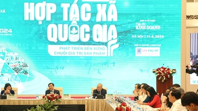Hội LHPN Việt Nam ký thỏa thuận hợp tác cùng Liên minh HTX Việt Nam