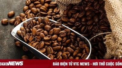 Coffee prices today December 8: Strong increase domestically and internationally