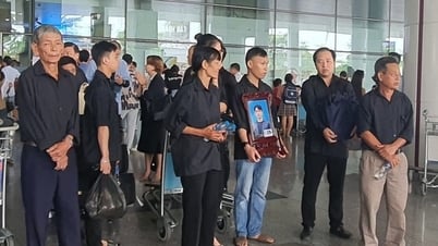 Một người Việt tử vong tại Nhật Bản vì tai nạn lao động