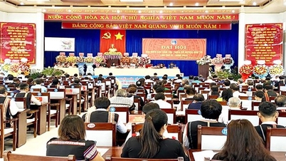 Kon Tum៖ ក្រុមជនជាតិនៅស្រុក Dak To រួបរួម សមាហរណកម្ម និងអភិវឌ្ឍន៍