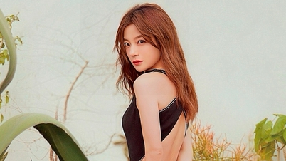 Zhao Wei កំពុង​ត្រូវ​បាន​គេ​បិទ​ជា​បណ្ដើរៗ