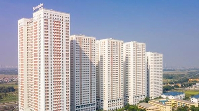 Affordable apartments attract investors