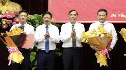 Đà Nẵng điều động nhiều cán bộ chủ chốt