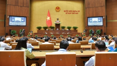 ថ្ងៃនេះ ថ្ងៃទី 29 ខែវិច្ឆិកា រដ្ឋសភាបានអនុម័តសេចក្តីសម្រេចចិត្តមួយដើម្បីអនុវត្តពន្ធអប្បបរមាជាសកលចាប់ពីដើមឆ្នាំ 2024 ។ វគ្គបិទ