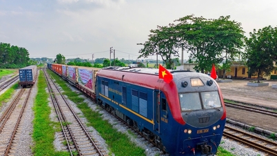 La industria ferroviaria ofrece transporte gratuito de suministros de socorro a las personas afectadas por la tormenta