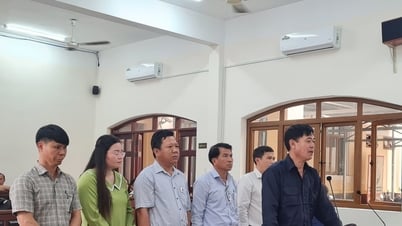 ដុងណៃ៖ លុប​ចោល​សាលក្រម​ដំបូង​លើ​ករណី​បំប្លែង​ដី​សាធារណៈ​ទៅ​ជា​ដី​ឯកជន