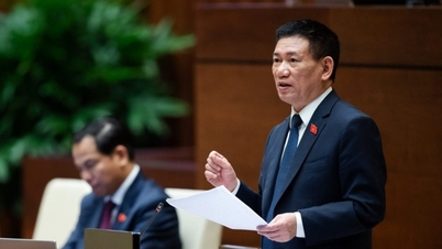 Minister of Finance Ho Duc Phoc stated the reason for not removing the ceiling price for air tickets.