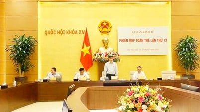 Tiền cọc 20% giá khởi điểm có thể vẫn chưa đủ chặn tiêu cực
