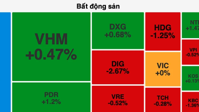 หุ้นยังคงร่วง NVL ถูก "ขายออก" และร่วงลงสู่พื้น