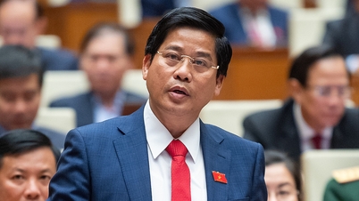 Nghiên cứu chính sách cấp 'sổ đỏ' cho đất không giấy tờ