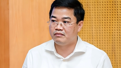 The Prime Minister appointed Mr. Nguyen Duc Tam as Deputy Minister of Planning and Investment.