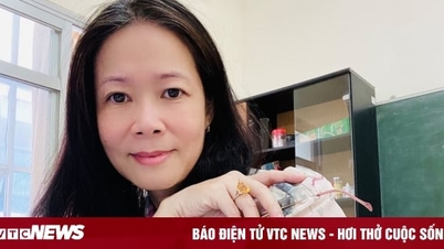 Việt Nam có thêm 12 nữ giáo sư