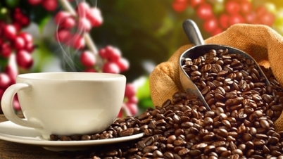 Giá cà phê đồng loạt giảm, áp lực từ nhà sản xuất lớn nhất thế giới; xuất khẩu cà phê Việt khó có bất ngờ