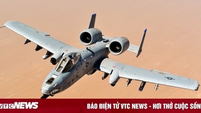 Tại sao Mỹ từ chối gửi máy bay tấn công Thần Sấm A-10 tới Ukraine?