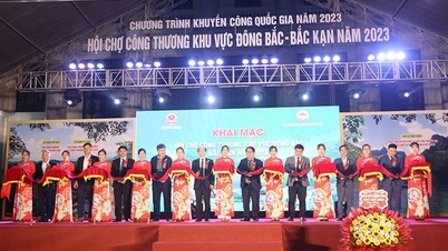 Booths from 21 provinces gathered on the opening day of the Northeast regional fair