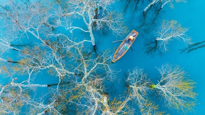 Sắc màu Suối Tía