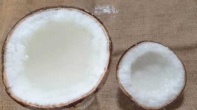 Wax coconut in Tra Vinh has its own festival for the first time