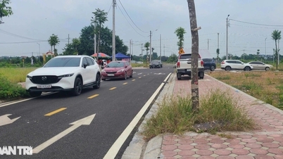 Muốn tra cứu bảng giá đất tốn bao nhiêu tiền?