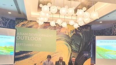 ADB៖ កំណើន​សេដ្ឋកិច្ច​របស់​ប្រទេស​វៀតណាម​បាន​ធ្លាក់​ចុះ​ដោយ​សារ​តម្រូវ​ការ​ខាង​ក្រៅ​ខ្សោយ