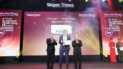 Mavin Được Vinh Danh tại Giải Thưởng Saigon Times CSR 2024