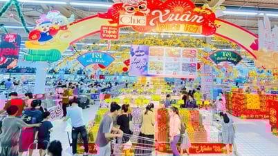 Central Retail Việt Nam lần đầu tiên hợp tác với các nhà cung cấp để đảm bảo giao hàng xuyên suốt Tết Ất Tỵ 2025