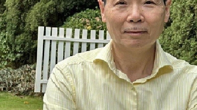 Nhà báo hợp đồng
