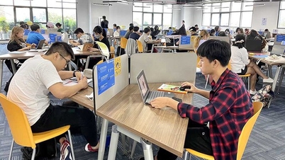 What factors help schools develop sustainably?