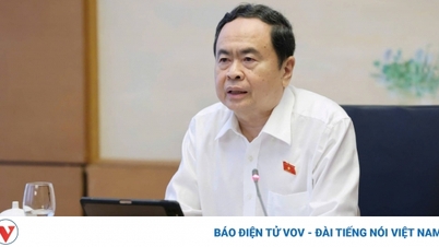 Creating a synchronous legal basis for the organization of urban government